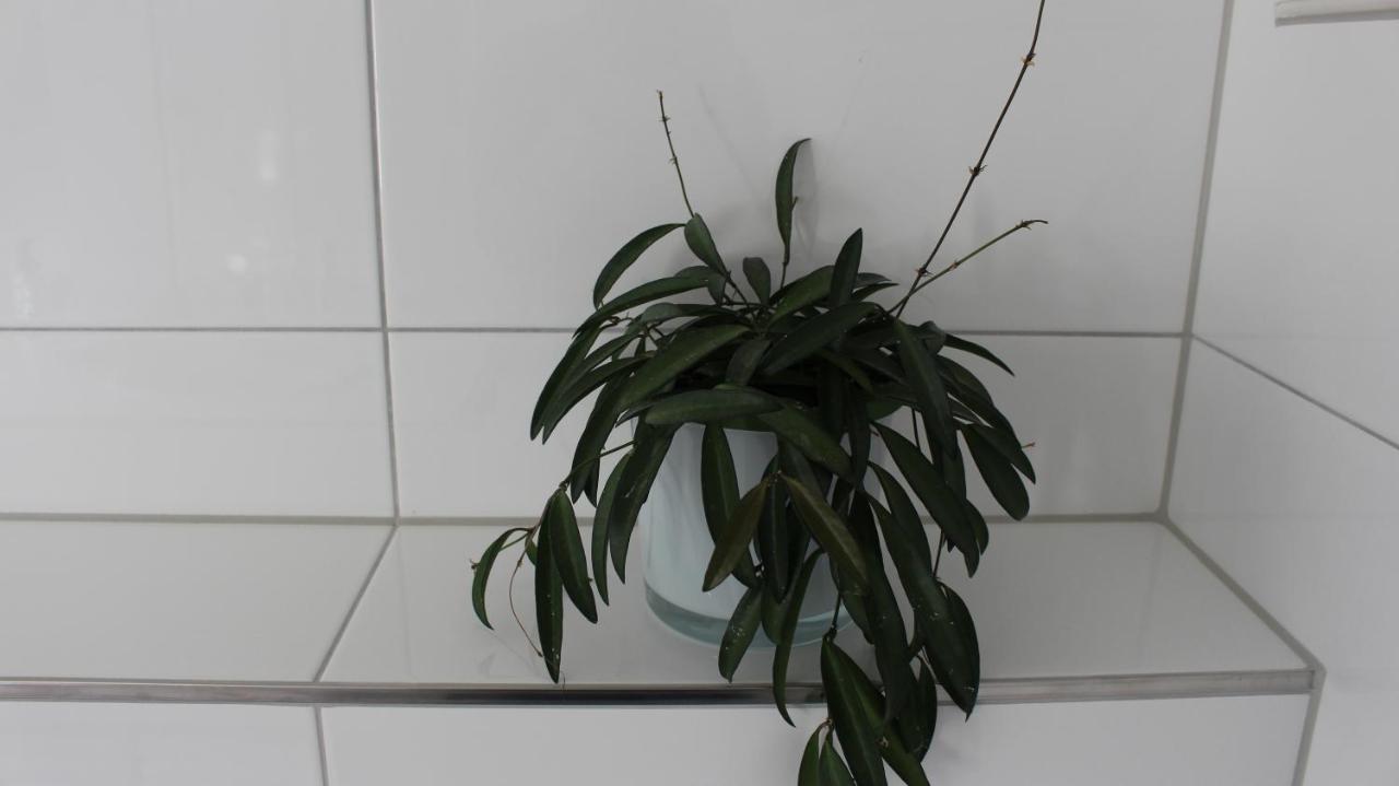 Appartement Maria Egg Zewnętrze zdjęcie